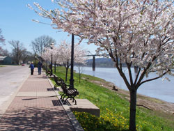 River in Madison Indiana